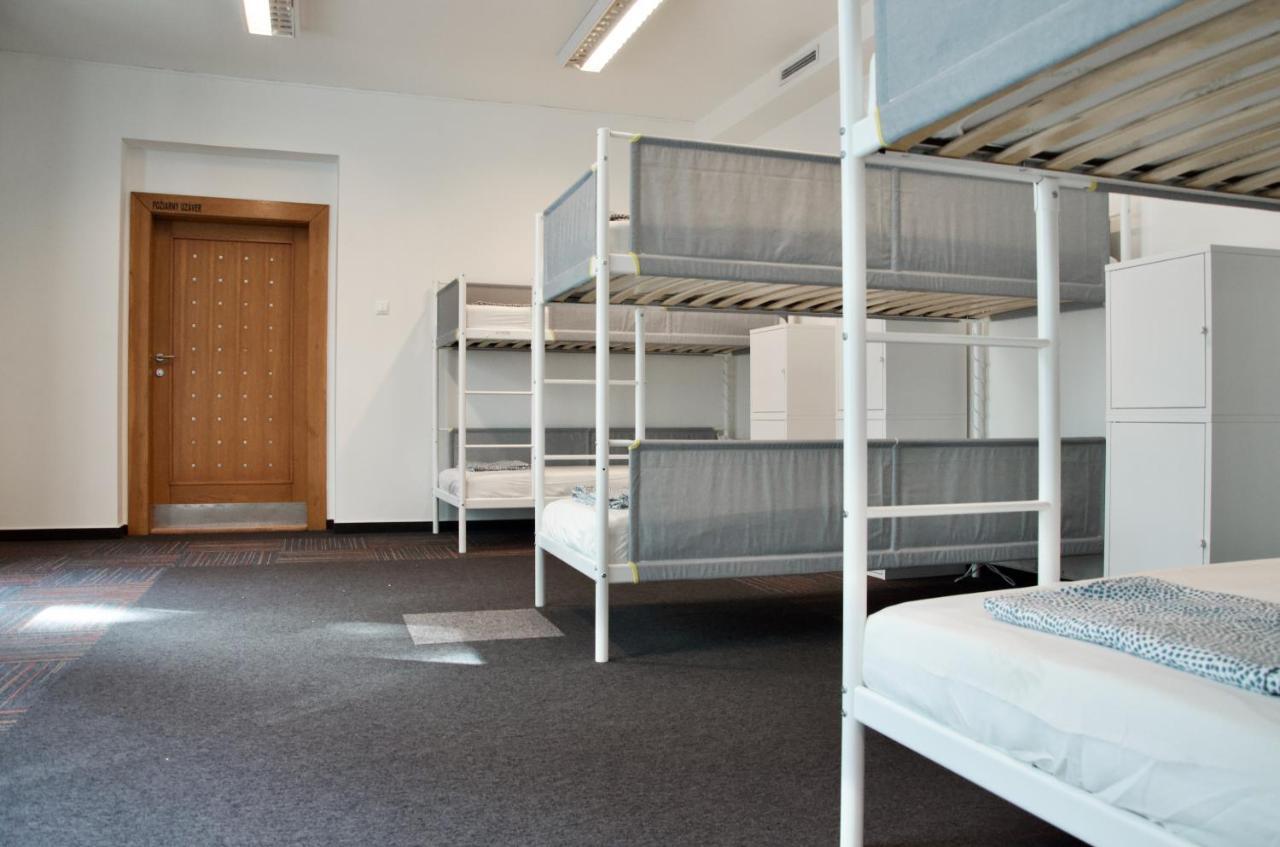Wild Elephants Hostel Bratislava