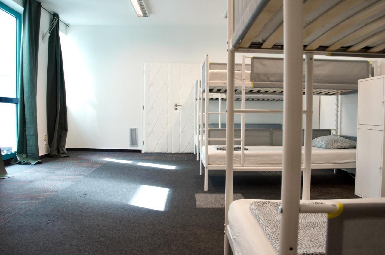 Wild Elephants Hostel *
