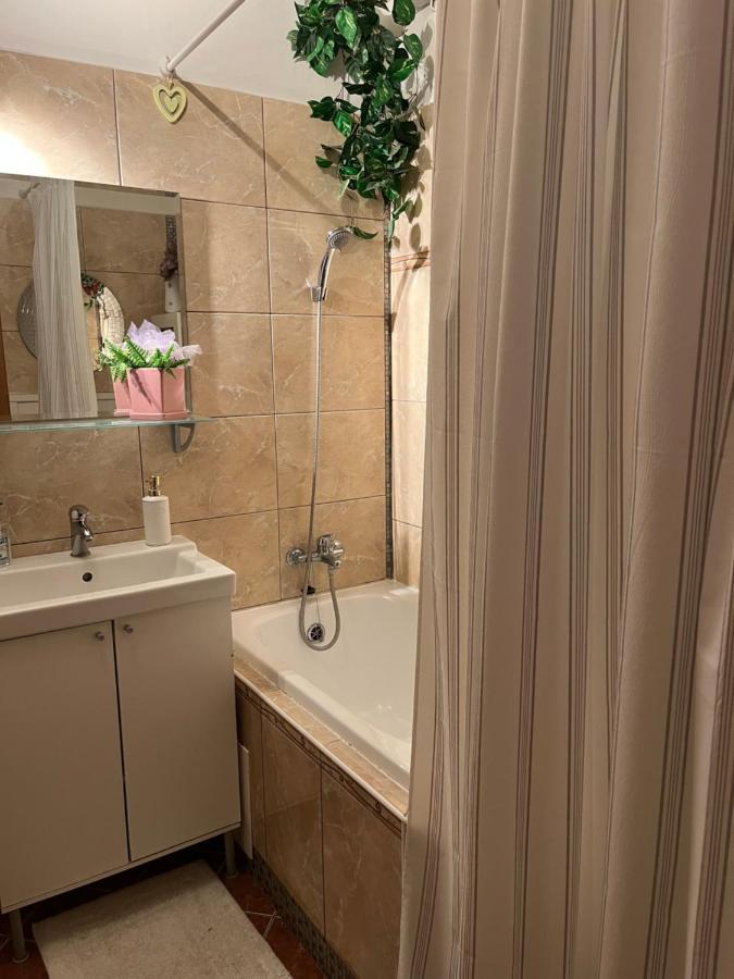 Terrace S 1 Spalnou Sofia-parking & Wifi * Bratislava