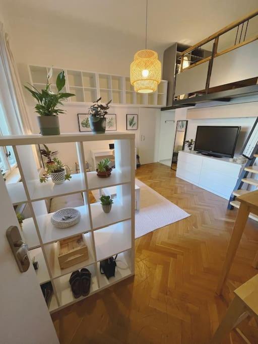 Apartment Stefanka Old Town