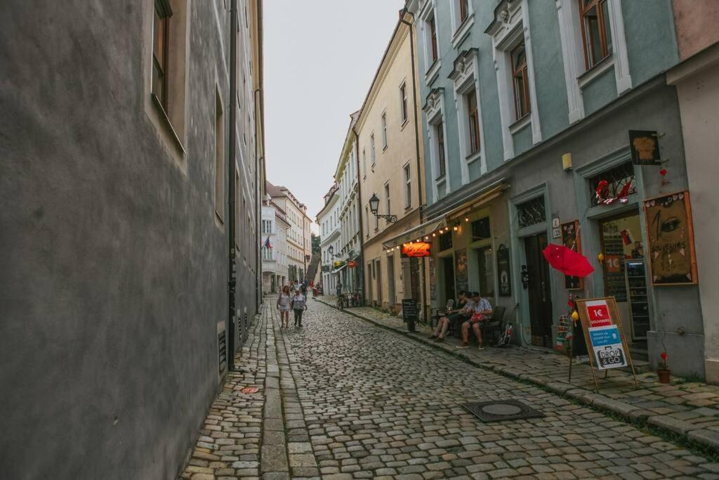 Apartment Cozy In The Heart Of The Historic