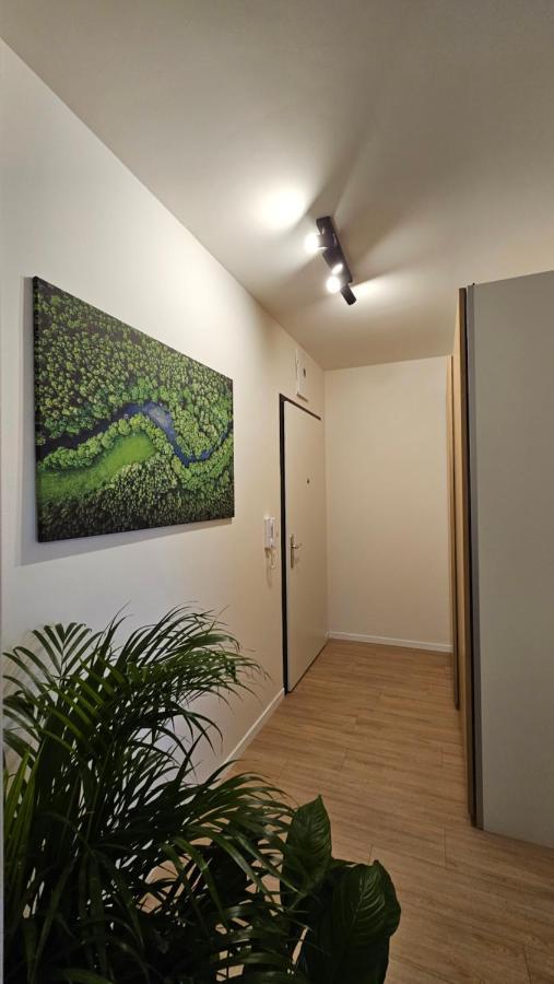 Apartment 2 With Terrace, New Building, 413