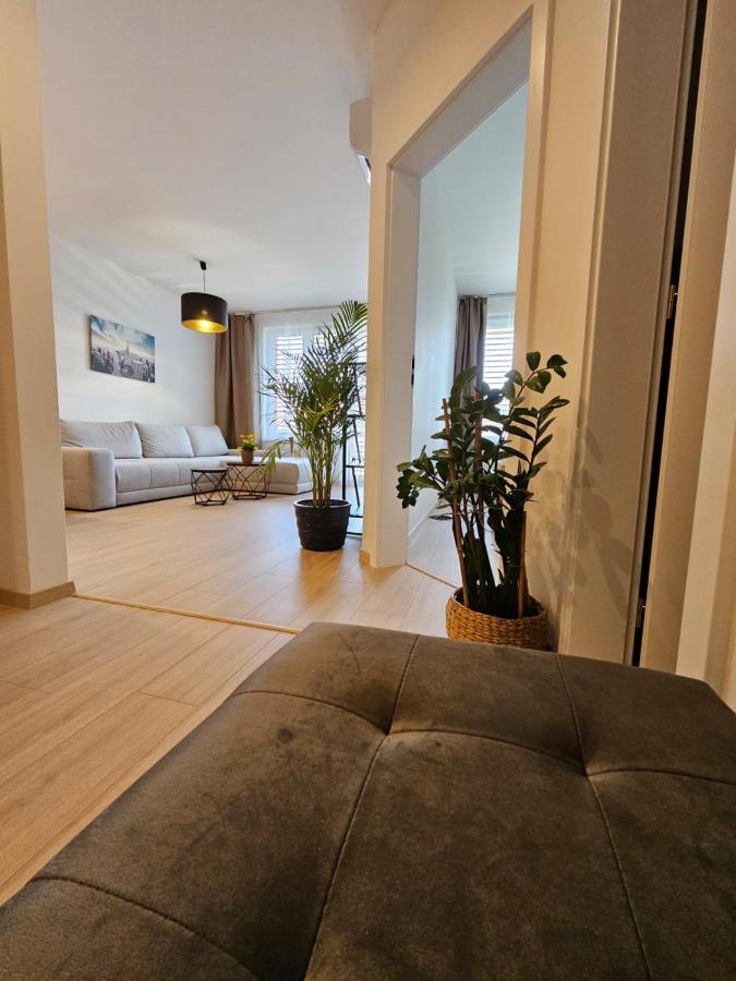 2 Apartment, New Building, Bosakova Street, 49