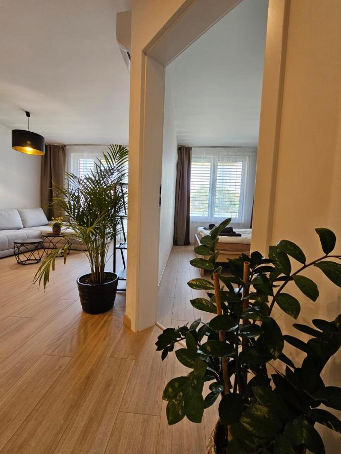2 Apartment, New Building, Bosakova Street, 49 Apartment