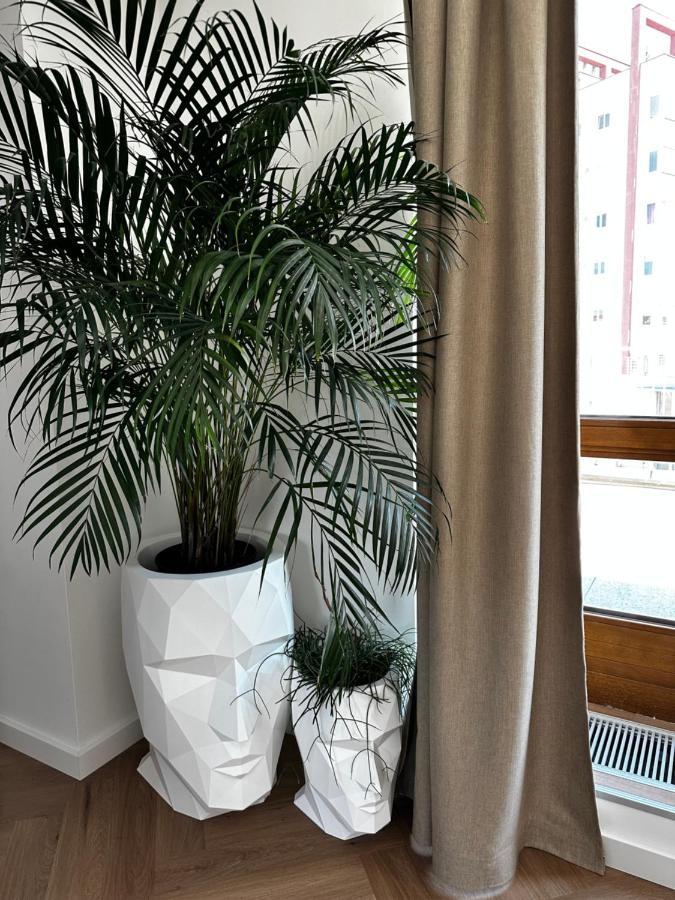 Luxury Penthouse At The Historical Centre With Free Parking Apartment Bratislava
