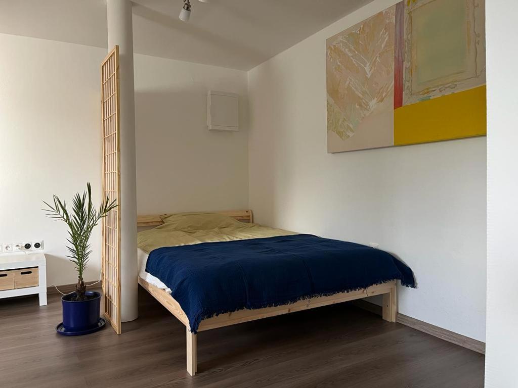 Apartment Jask *