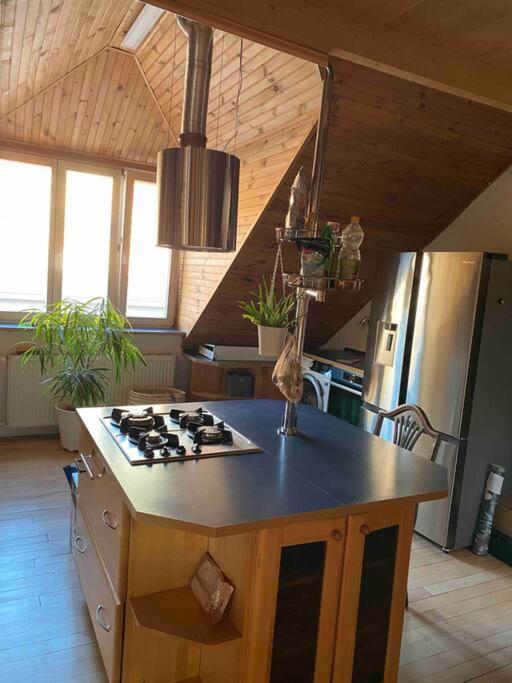 Rooftop 180m2 Loft With Private Sauna, Apartment *
