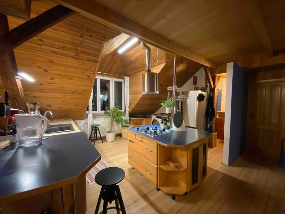 Apartment Rooftop 180m2 Loft With Private Sauna, Bratislava