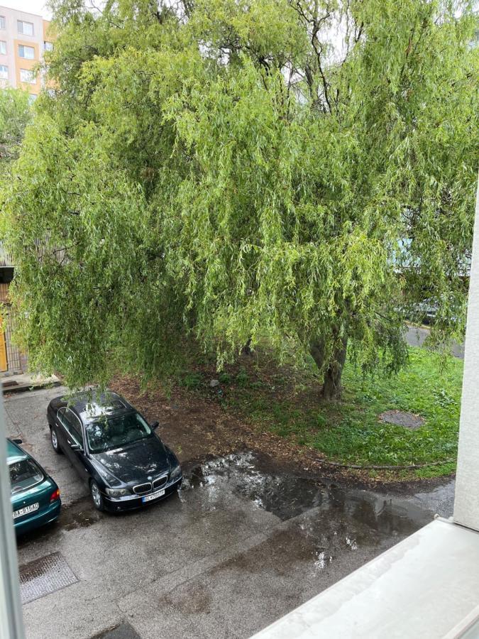 Apartment Free Wifi - Urban Oasis *