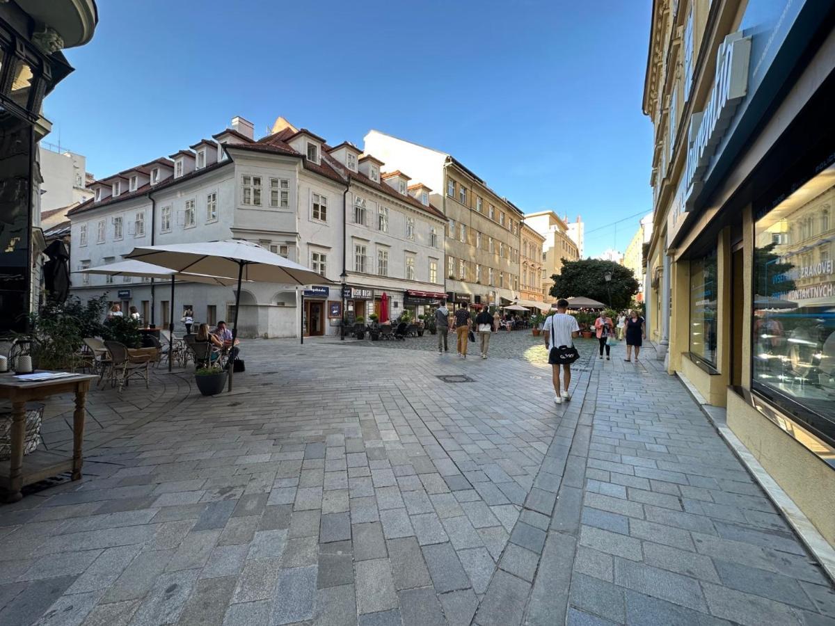 Gorkeho In City Centre Bratislava