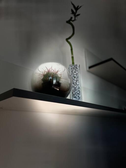 Apartment Y&y Bratislava