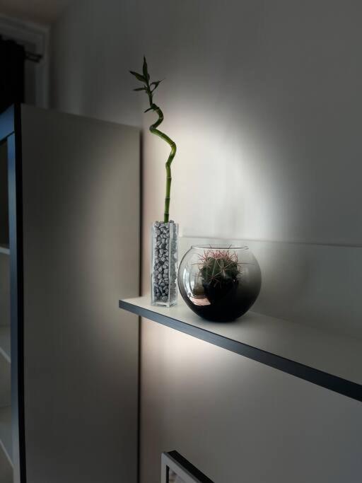 Apartment Y&y