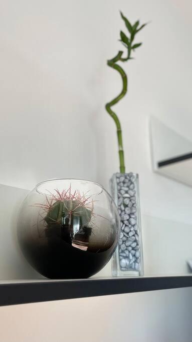 Apartment Y&y *