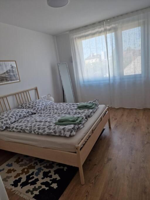 Stylish Urban With Parking Spot Apartment Pressburg