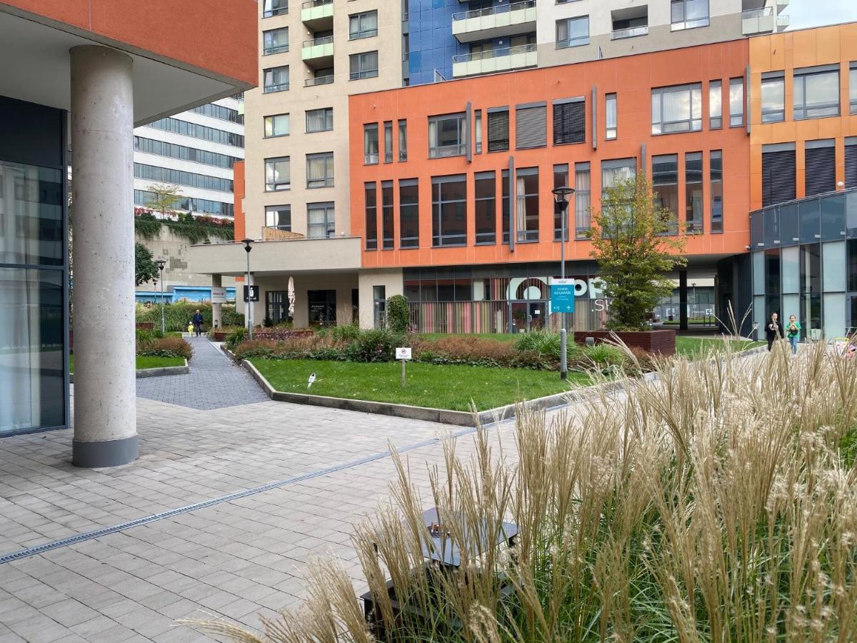 Citypark Apartment, Free Parking & Ac Apartment