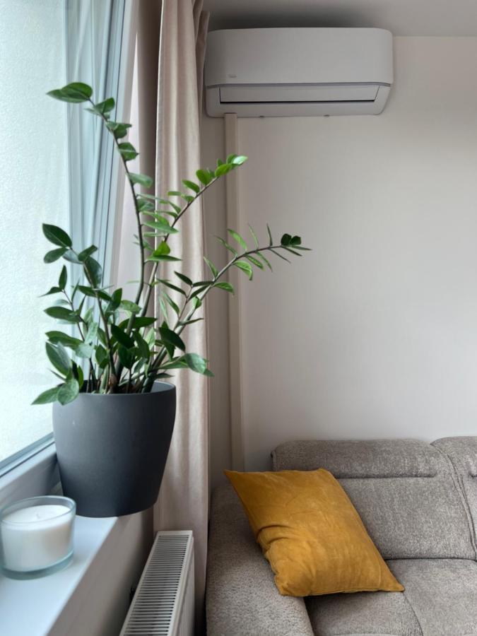 Apartment Contemporary Airport Retreat *