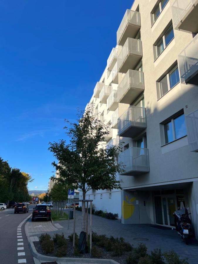 Contemporary Airport Retreat Apartment Bratislava
