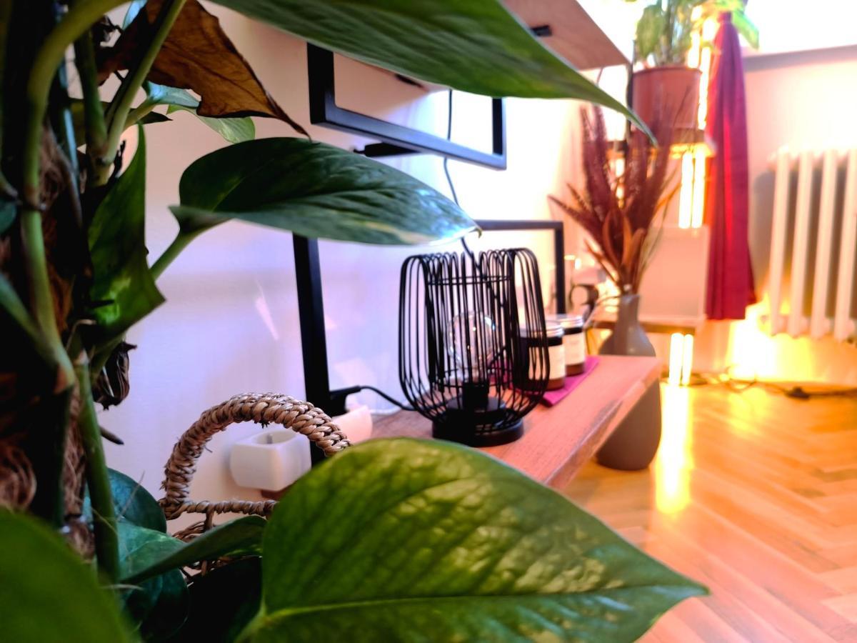 Cozyhome Medena Central, Quiet Premium Spot In Old Town *