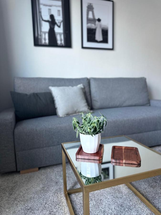 S Klimatizaciou A Balkonom Pri Letisku Bts Apartment *