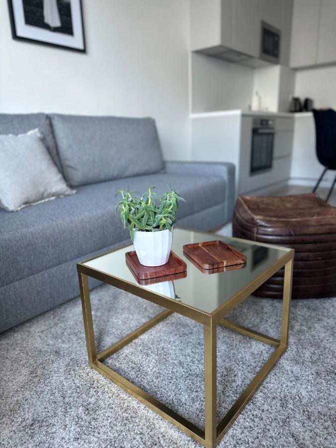 Apartment S Klimatizaciou A Balkonom Pri Letisku Bts Bratislava
