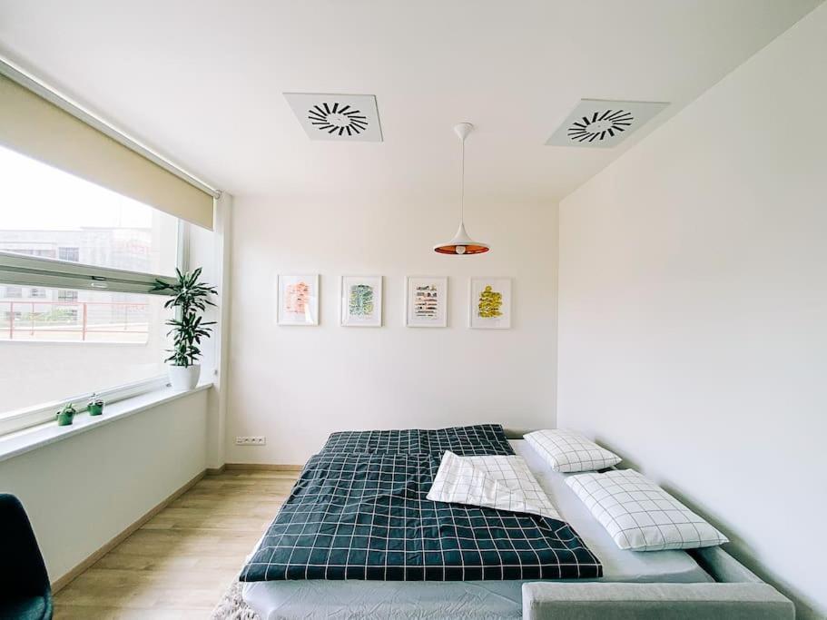 New In Quiet Part Of The Center * Bratislava