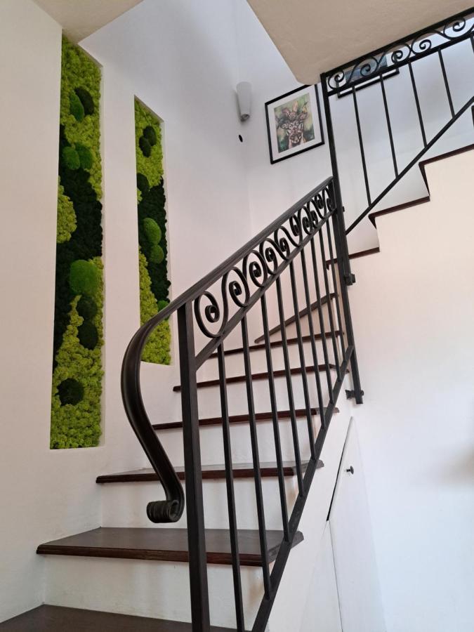 Family House With Garden And Sauna Holiday home Bratislava