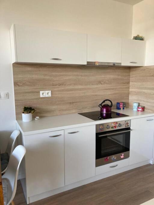 Apartment Utulny A Moderny Atelier S Terasou