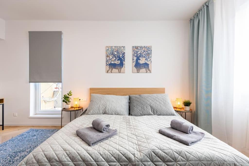 Apartment Bnb Slovakia Vazovova Oasis Retreat In Bratislava