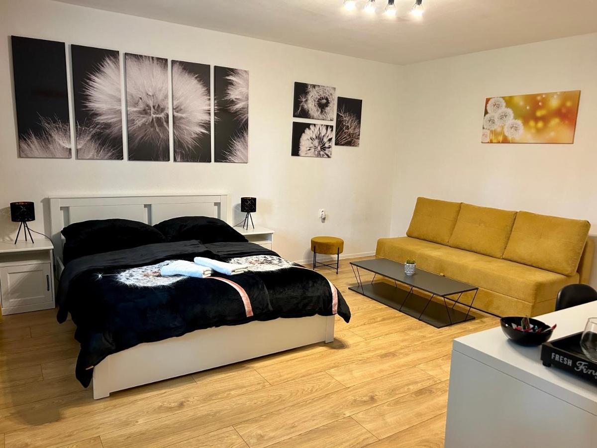 Dandelion * Bratislava