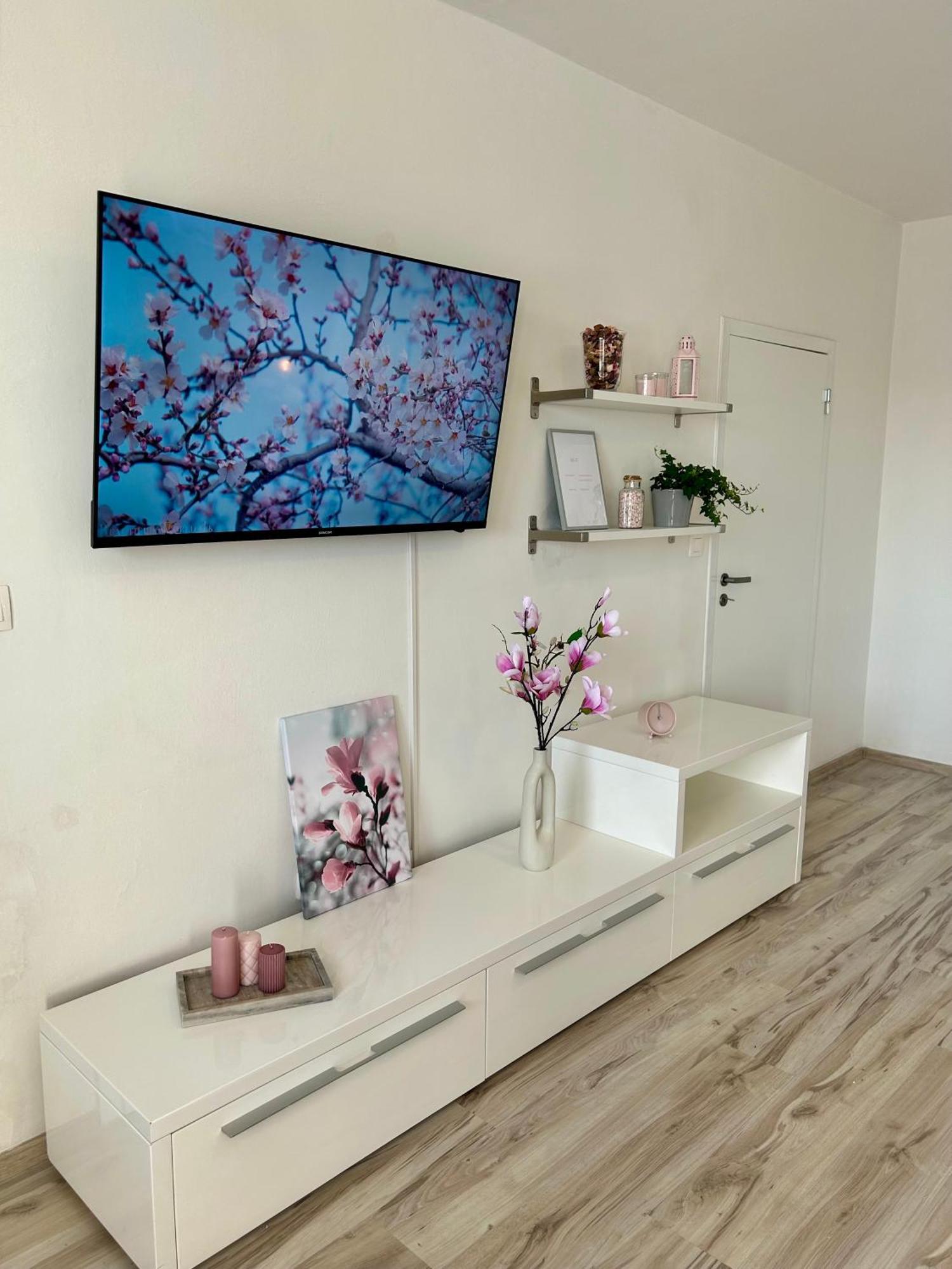 Magnolia * Bratislava