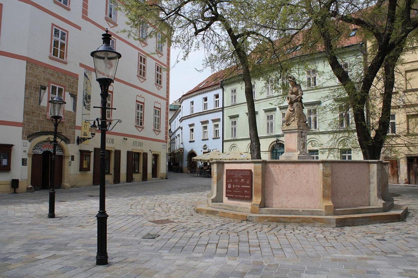 Apartment Sophie - Old Town *