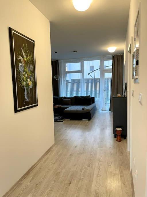 Amazing Large 2,5rooms With Terrace And Parking! *