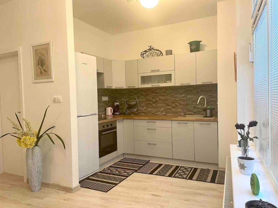 Apartment Amazing Large 2,5rooms With Terrace And Parking!