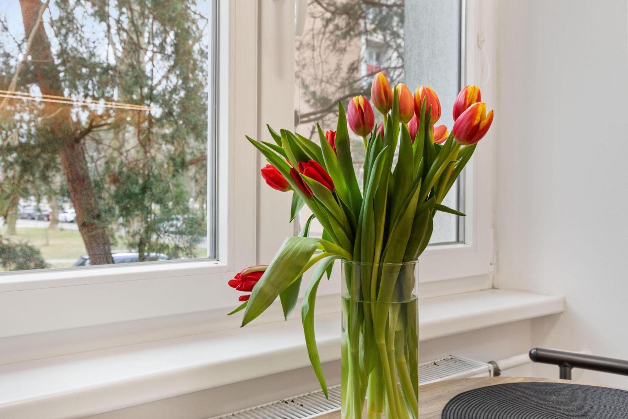 Apartamento Klimatizovany Self Check-in Ruzinov Bratislava