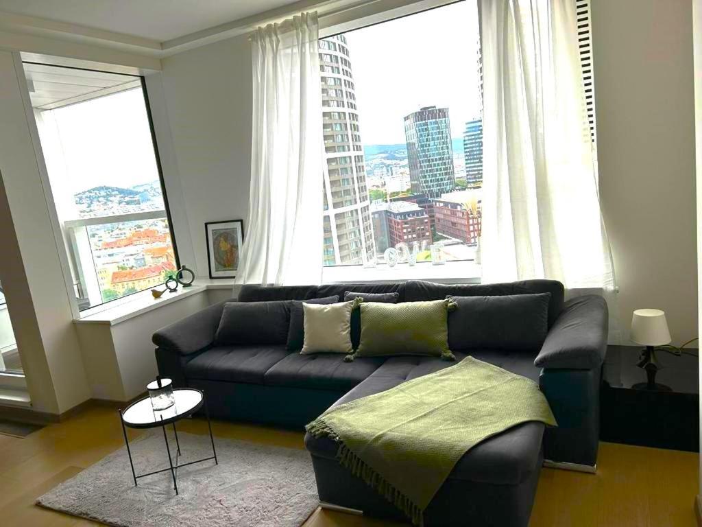 Skau Panorama Family & Business View Free Parking Apartment