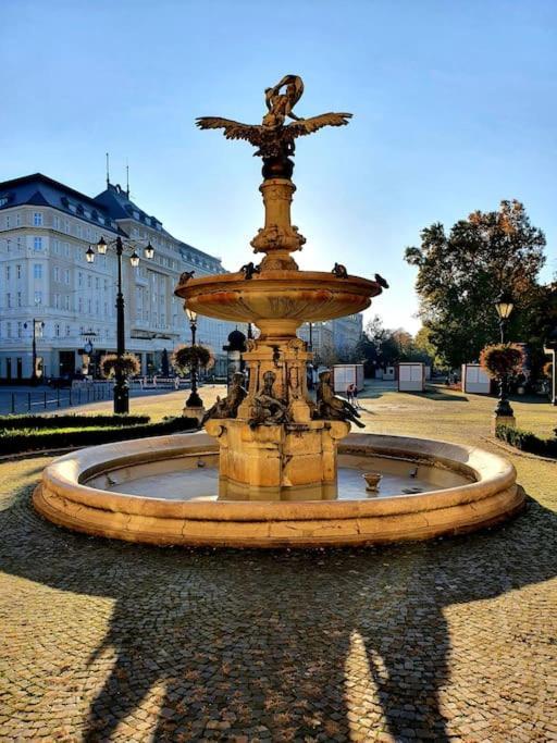 Lovely & Unique In The Historic Center. Apartment Bratislava