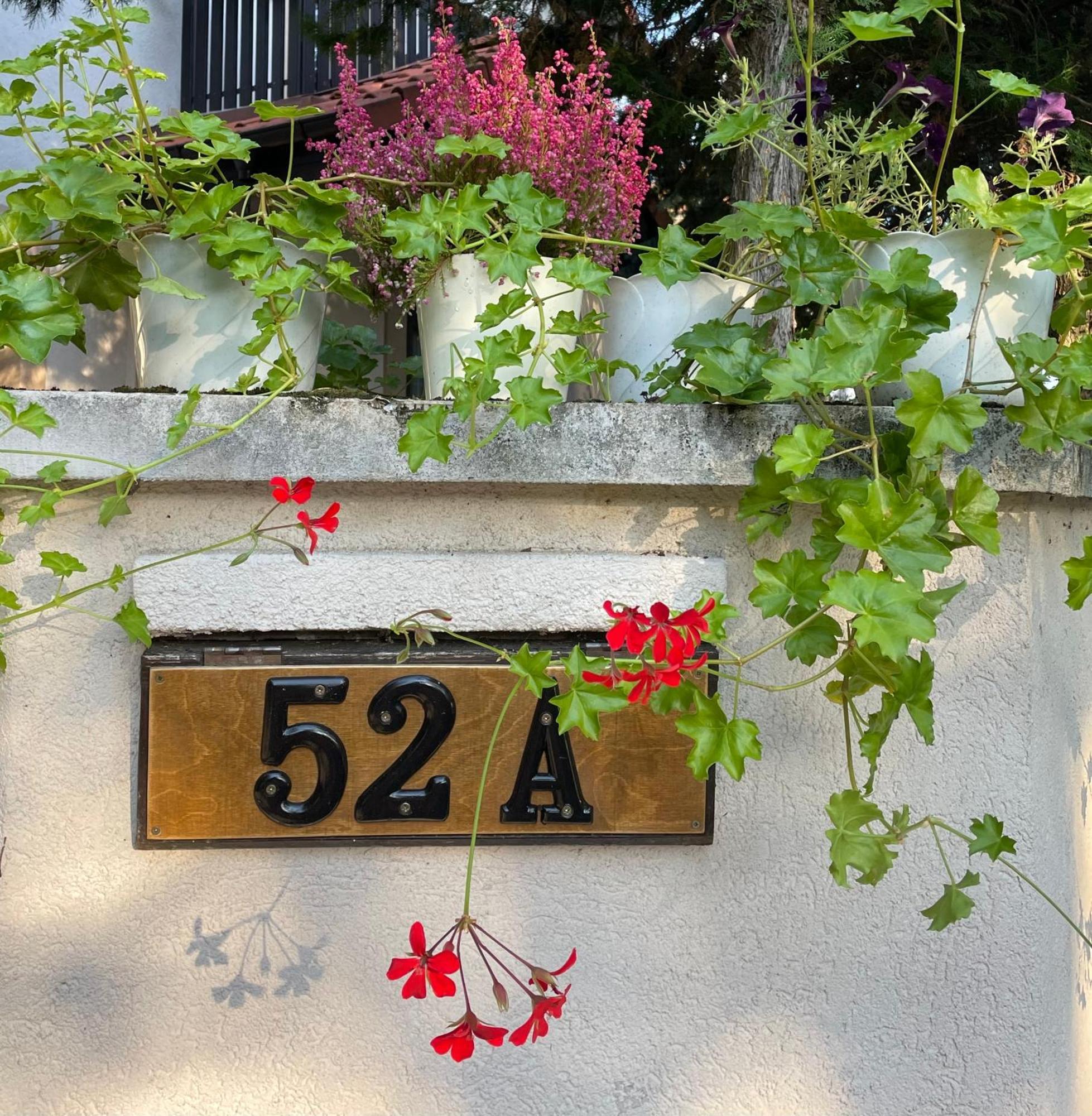 Homestay Sulekova 52a