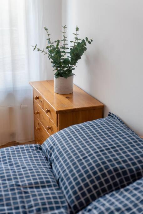 Apartment Grape Bratislava