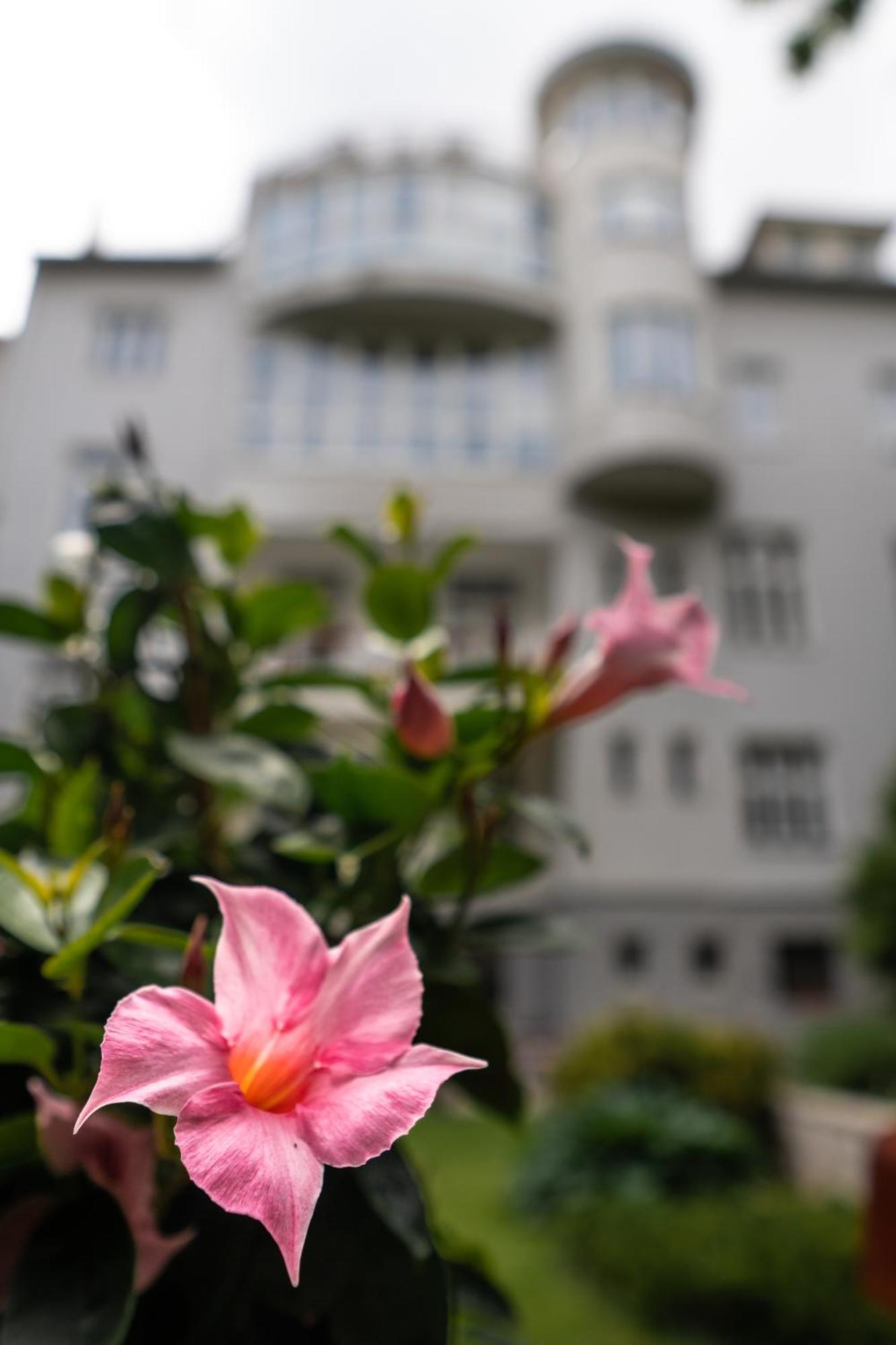 Arcus Garden Hotel 3*
