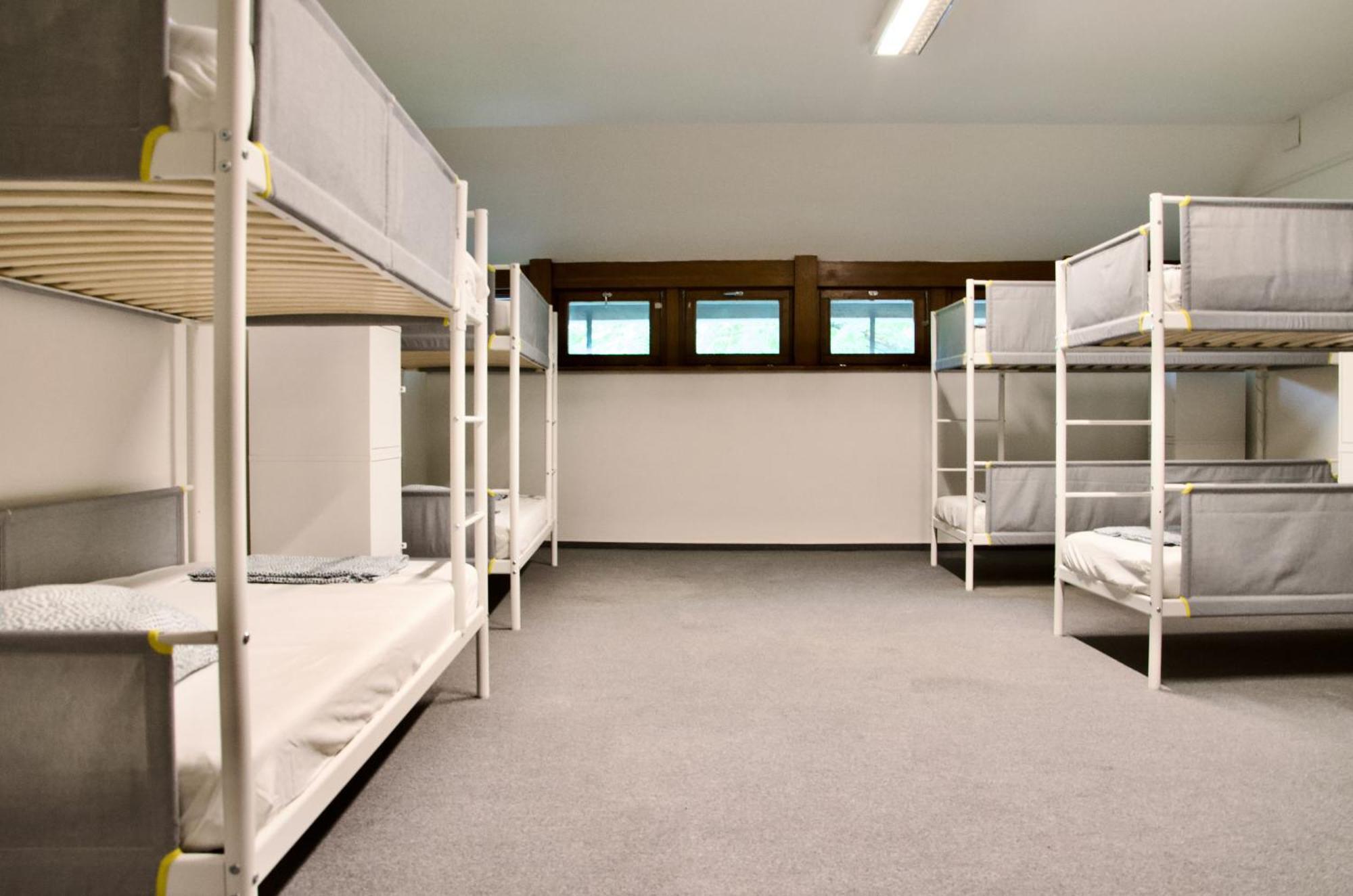 Wild Elephants Hostel *