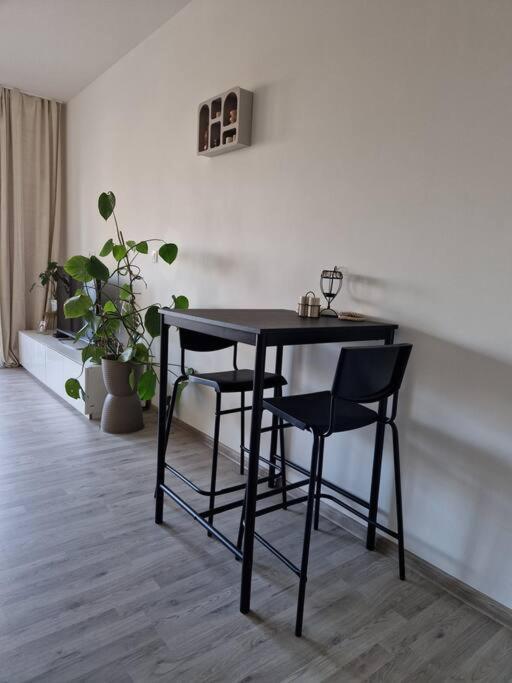 V Meste Apartment Bratislava