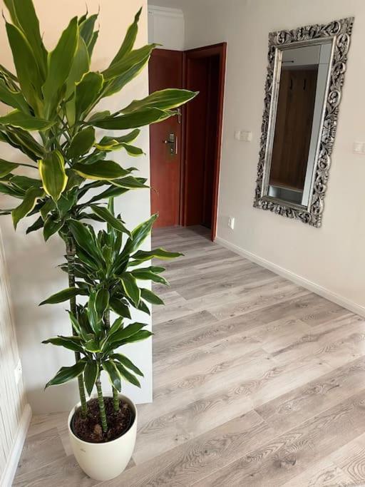 Luxusny Pri Jazere - Free Parking Apartment Bratislava