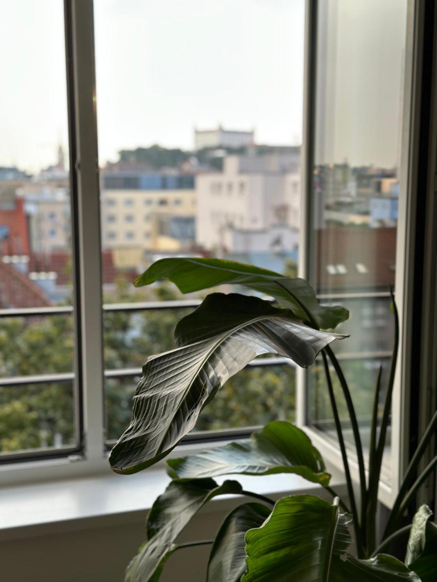 Urban Zenhouse No.2 - Breakfast Included Bratislava