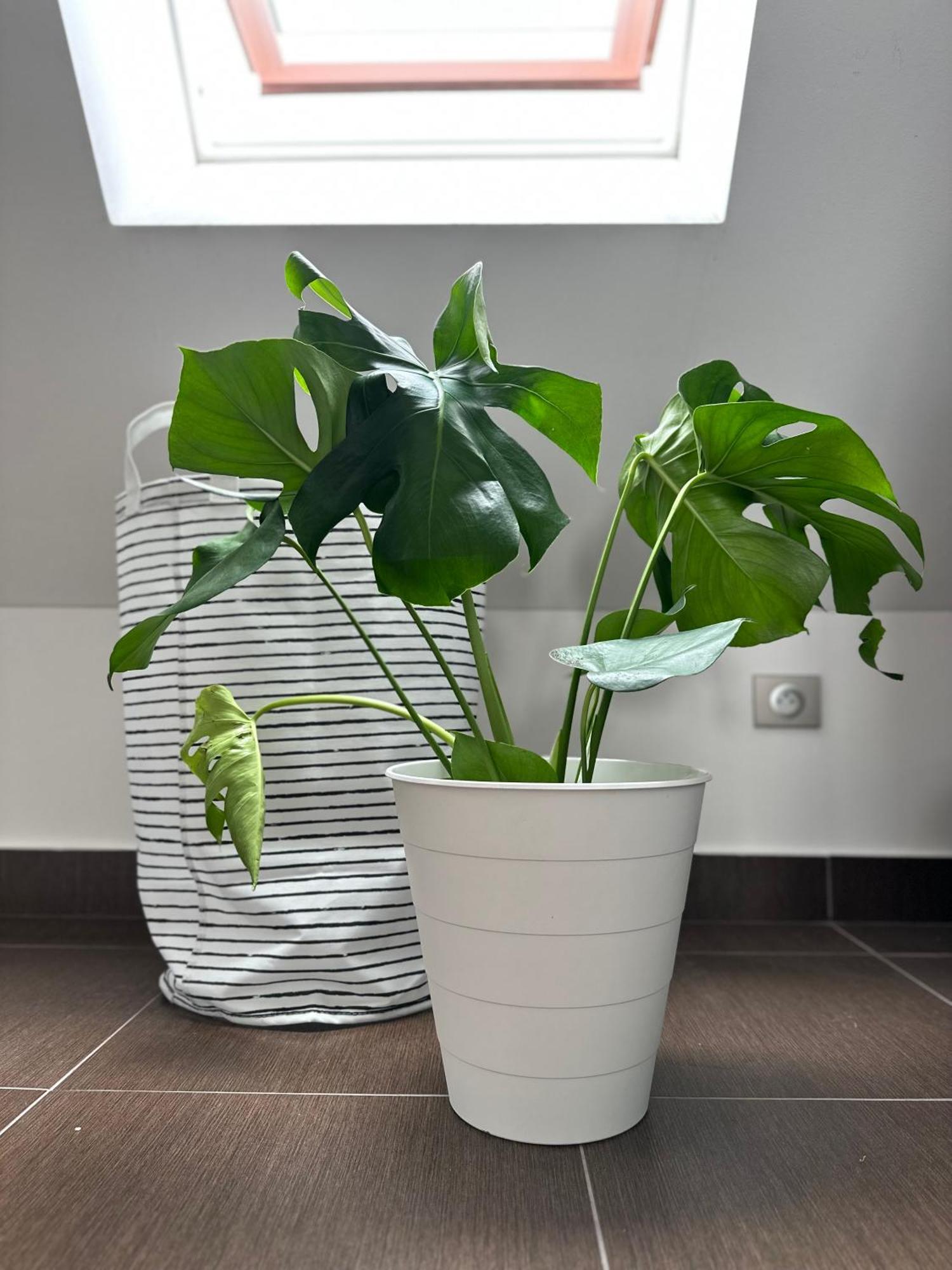 Apartamento Urban Zenhouse No.2 - Breakfast Included Bratislava