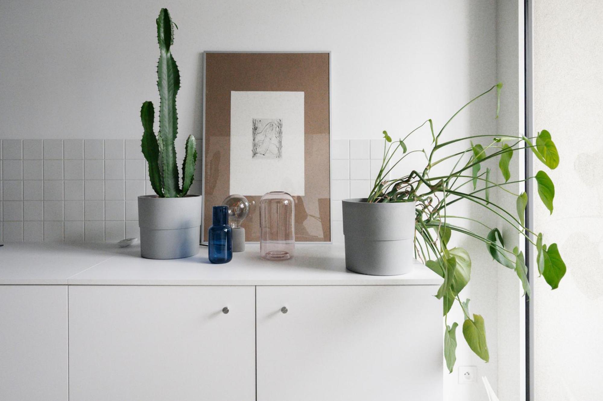 Apartment Stylish With A View Of Blue Church Bratislava