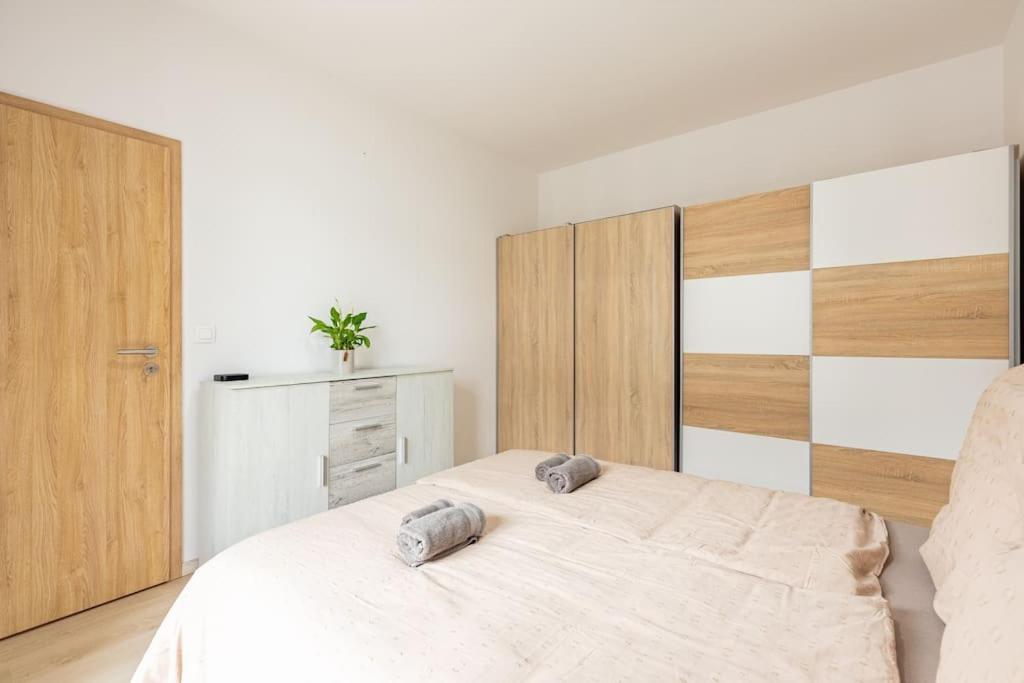 Cityscape Oasis: Active Heaven * Bratislava