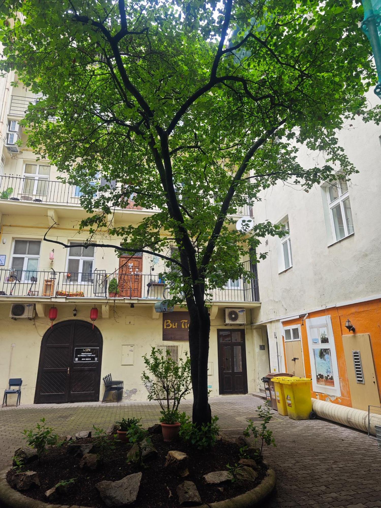 Laurinska Modern In Direct Centrum Of Bratislava, Air-condition