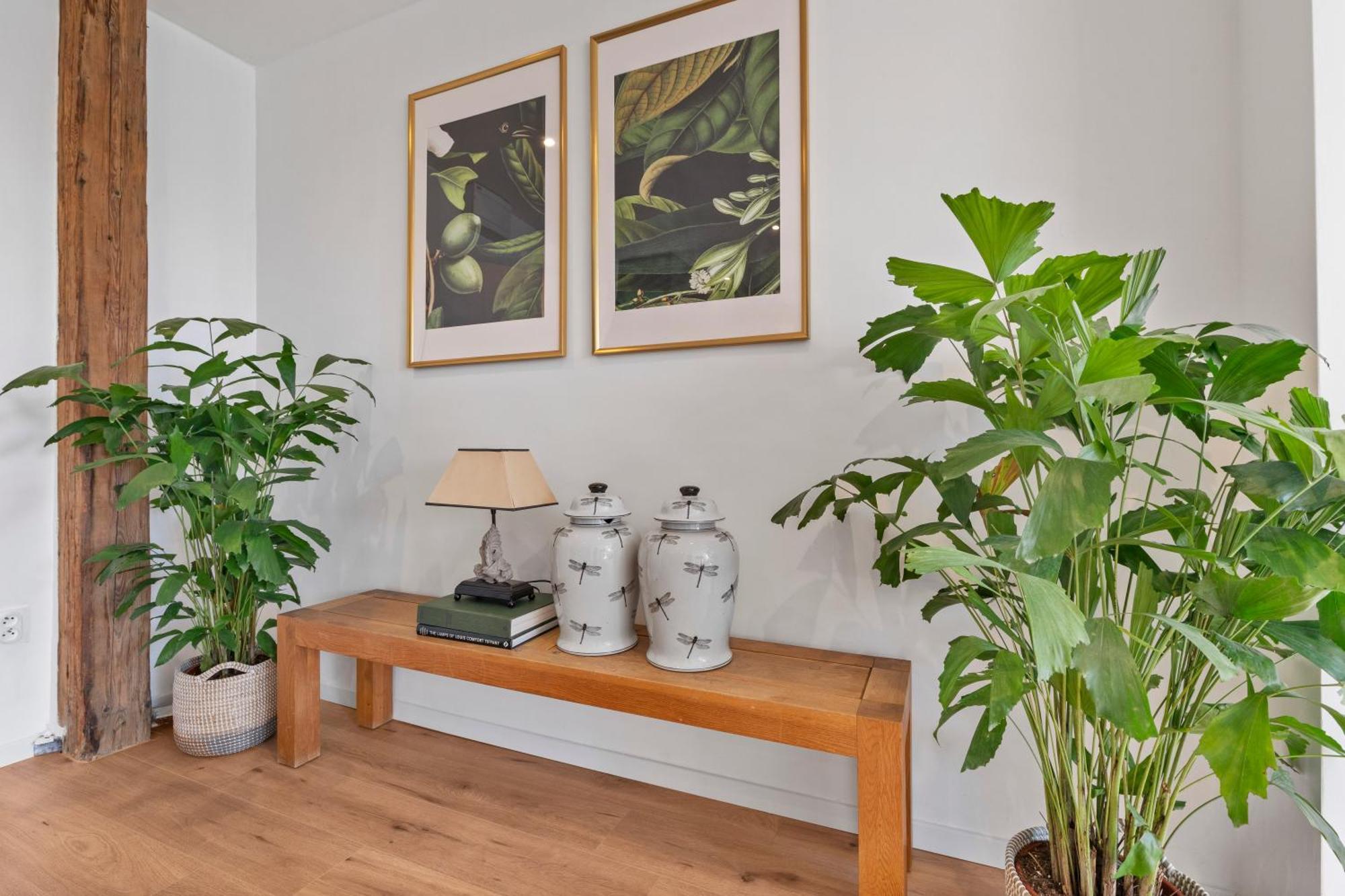 Apartment Lam Mockingbird - Terrace - Ac *