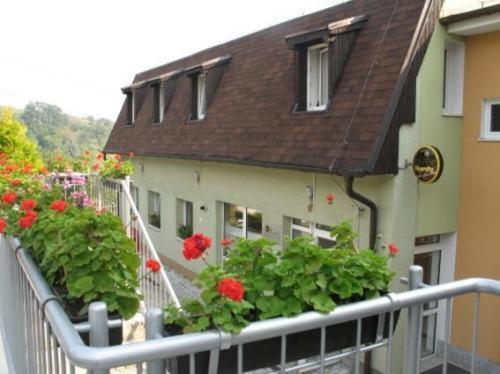 Hotel Zlata Noha 3*