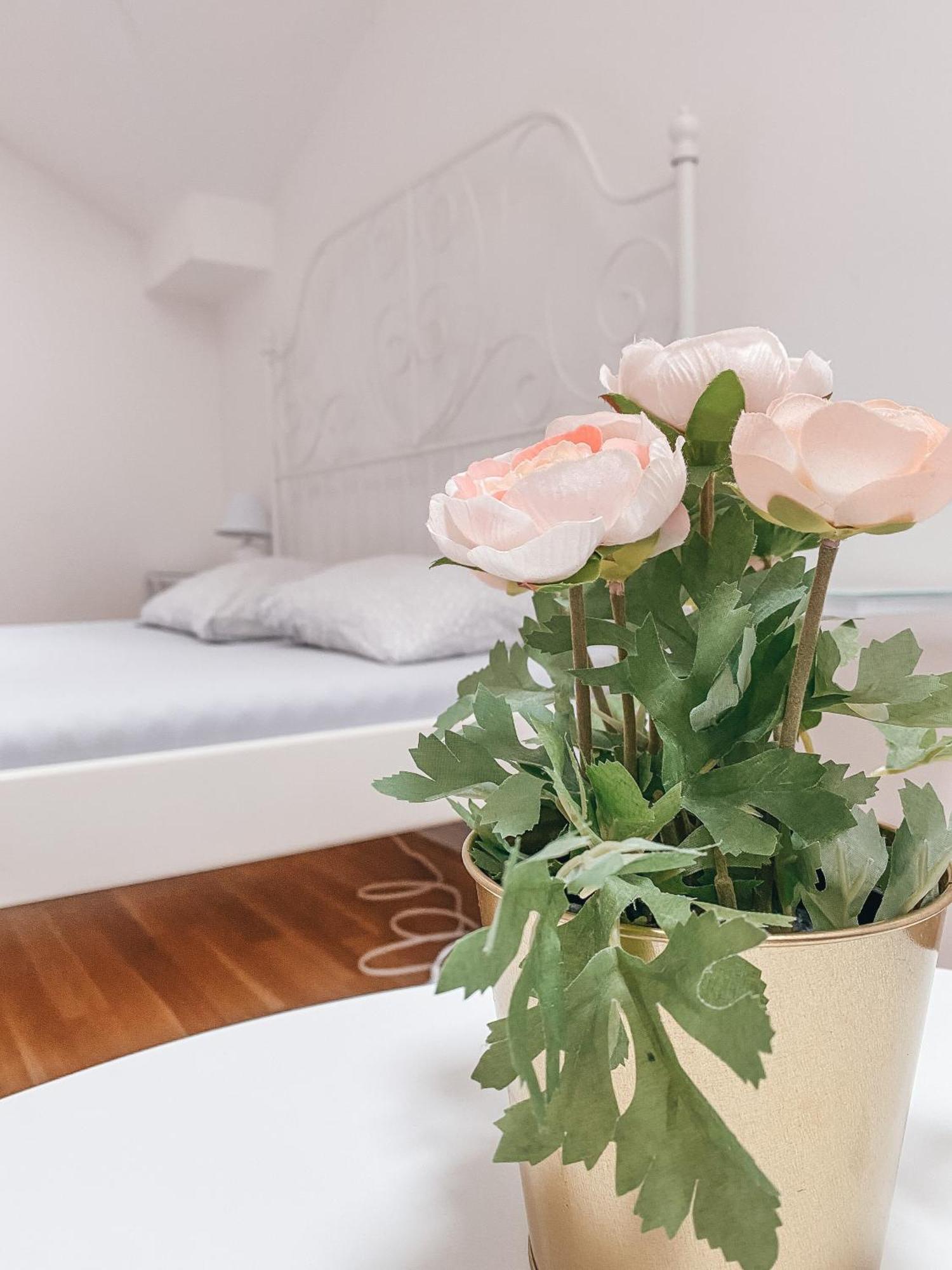 Guest house Blue Lotus *